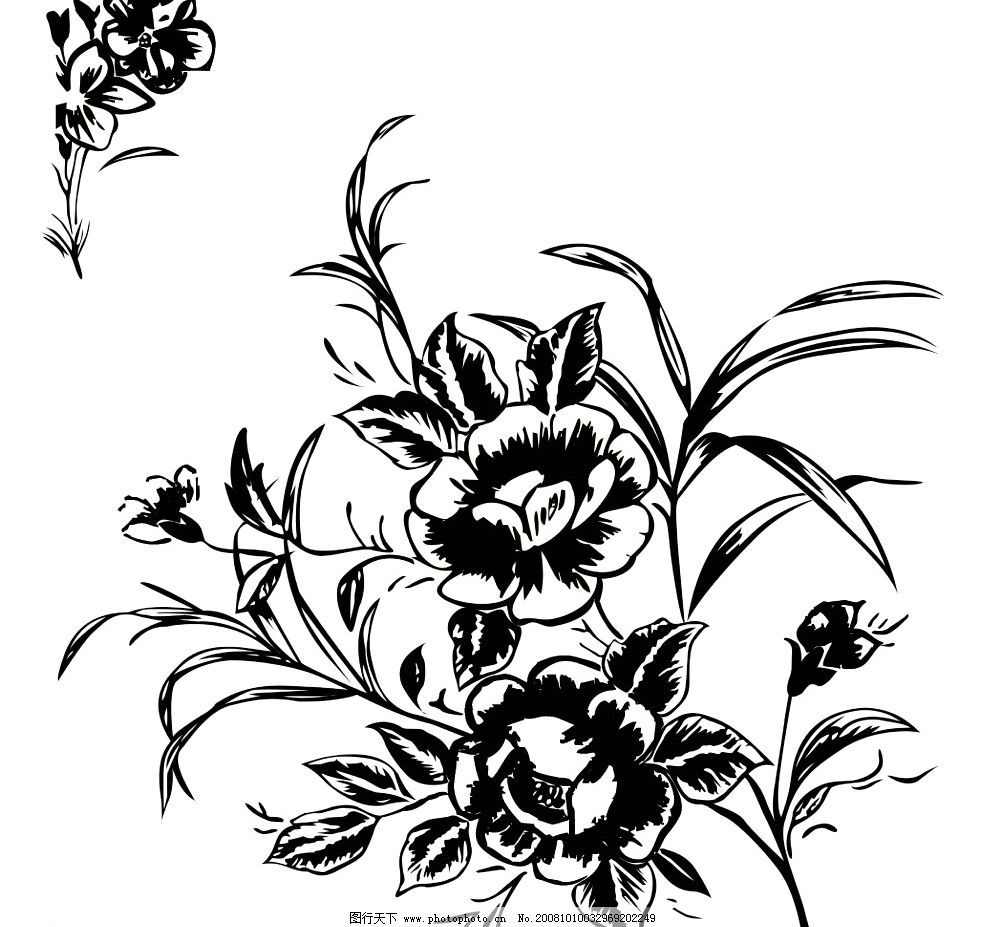 黑白花图片图片