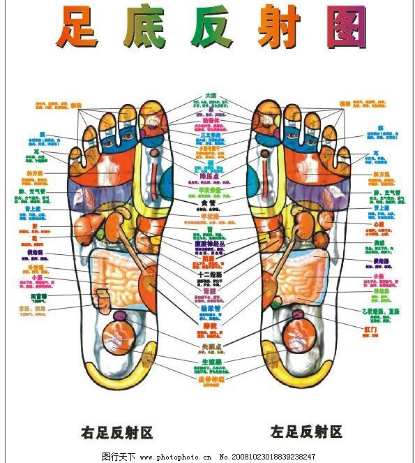 足底反射图图片