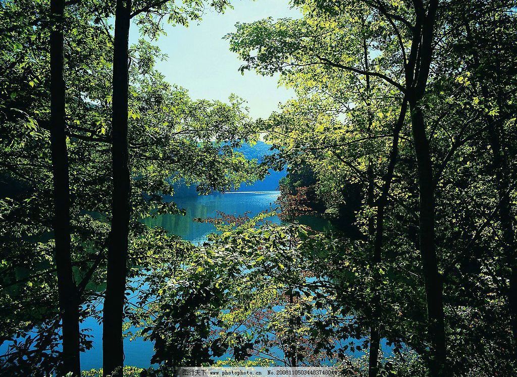 山水剪影 树木 树林 湖 湖水 摄影图库