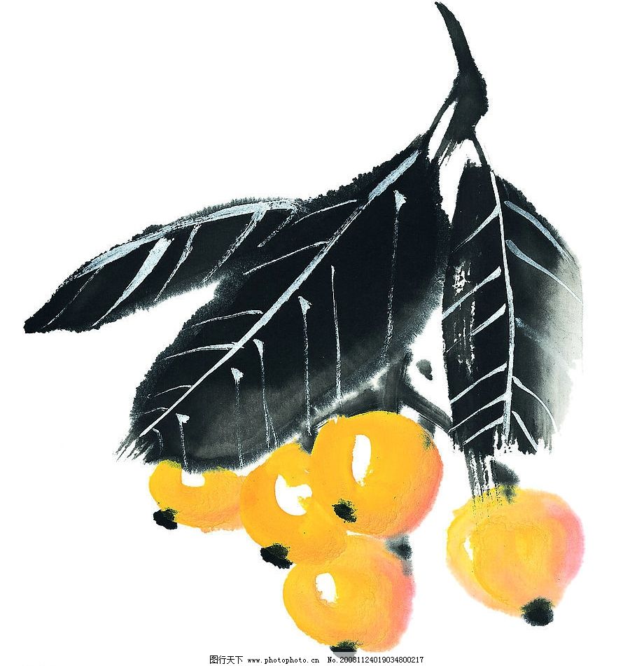 枇杷图片,水果 果蔬 国画 艺术 文化艺术 绘画书