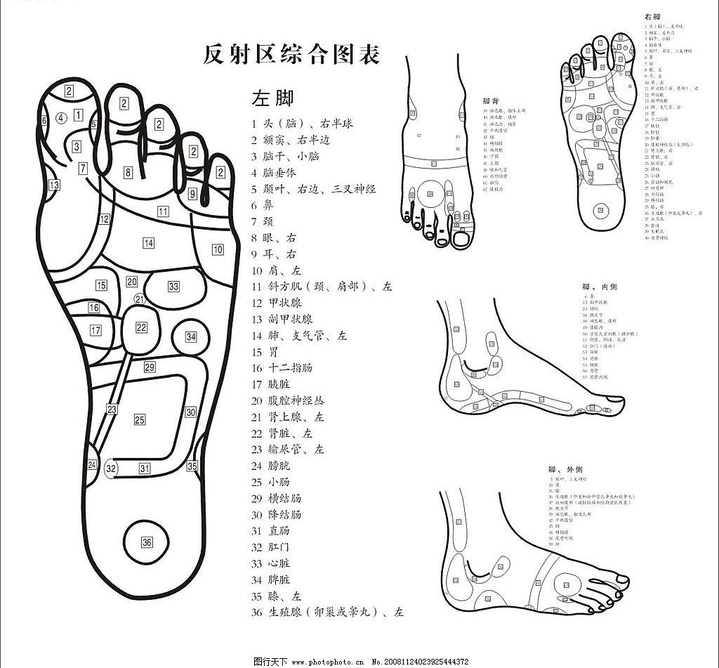足部反射区病理按摩位图片